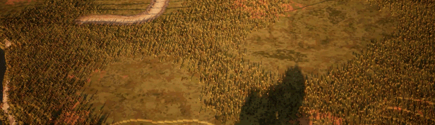 Town to City Construa