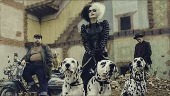 Mulher com vários cachorros