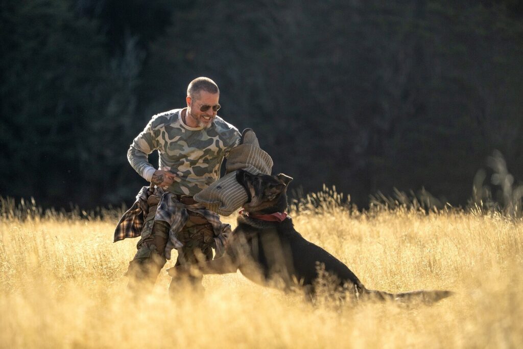 Um militar treinando um cachorro pastor alemão