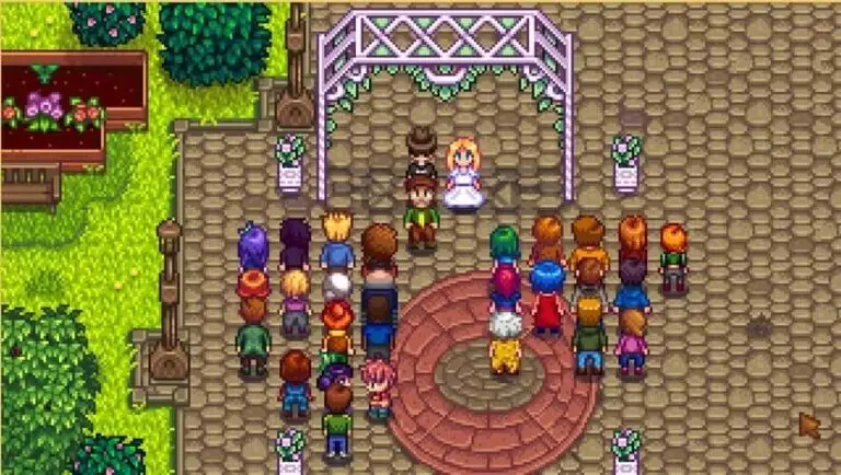 Stardew Valley Casamento